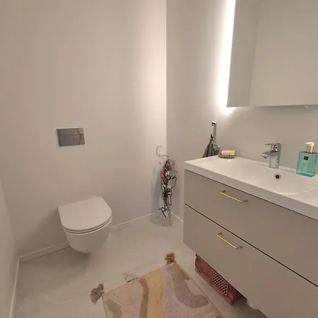 Modern Santa's Family 公寓 罗瓦涅米